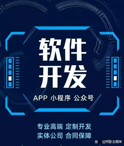個性化功能需求，專業定制軟件開發服務如何全面滿足？